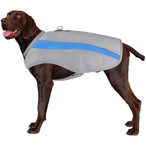 RUYICZB Kühlweste Hund Sommer Abkühlung Jacket Für Hunde, Verstellbar Atmungsaktiv Hundeweste Mit D-Ring Sonnenschutz Hund Warnweste Hundemantel Für Kleine Mittelgroße Große Hunde,Blau von RUYICZB