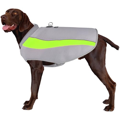 RUYICZB Kühlweste Hund Sommer Abkühlung Jacket Für Hunde, Verstellbar Atmungsaktiv Hundeweste Mit D-Ring Sonnenschutz Hund Warnweste Hundemantel Für Kleine Mittelgroße Große Hunde,Grün RUYICZB Kühlweste Hund Sommer Abkühlung Jacket Für Hunde, Verstellbar Atmungsaktiv Hundeweste Mit D-Ring Sonnenschutz Hund Warnweste Hundemantel Für Kleine Mittelgroße Große Hunde,Grün von RUYICZB