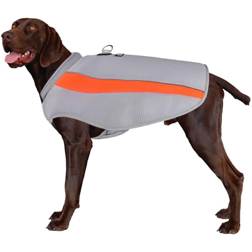 RUYICZB Kühlweste Hund Sommer Abkühlung Jacket Für Hunde, Verstellbar Atmungsaktiv Hundeweste Mit D-Ring Sonnenschutz Hund Warnweste Hundemantel Für Kleine Mittelgroße Große Hunde,Orange RUYICZB Kühlweste Hund Sommer Abkühlung Jacket Für Hunde, Verstellbar Atmungsaktiv Hundeweste Mit D-Ring Sonnenschutz Hund Warnweste Hundemantel Für Kleine Mittelgroße Große Hunde,Orange von RUYICZB