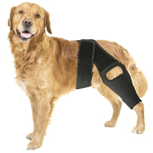 RUYICZB Beinschiene Für Hunde, Knieschiene Für Hunde Bei Kreuzbandriss, Hüftdysplasie, Arthritis, Patellaluxation, Unterstützung Der Vorder- Und Hinterbeine, Bequem Und Verstellbar,L von RUYICZB