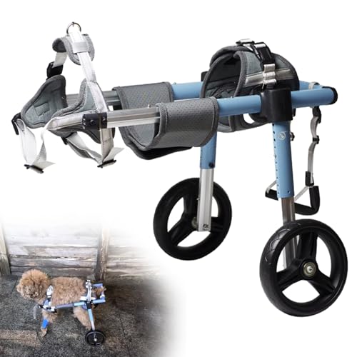 RUYICZB Einstellbare Hunde-Rollstuhl Für Die Hinterbeine, Pet Doggy Rollstühle Mit Behinderten Hinterbeinen Für Kleine/Mittlere Haustier, Hinterbeine Hund Wagen Mit Rädern,Standard,XS RUYICZB Einstellbare Hunde-Rollstuhl Für Die Hinterbeine, Pet Doggy Rollstühle Mit Behinderten Hinterbeinen Für Kleine/Mittlere Haustier, Hinterbeine Hund Wagen Mit Rädern,Standard,XS von RUYICZB