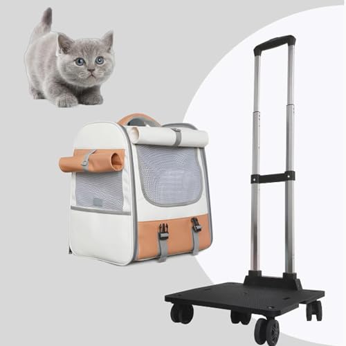RUYICZB Haustier-Rucksack mit Rädern, Katzen-Rucksack mit atmungsaktiven Löchern, tragbarer Haustier-Reiseträger für mittelgroße/kleine Katzen und Hunde RUYICZB Haustier-Rucksack mit Rädern, Katzen-Rucksack mit atmungsaktiven Löchern, tragbarer Haustier-Reiseträger für mittelgroße/kleine Katzen und Hunde von RUYICZB