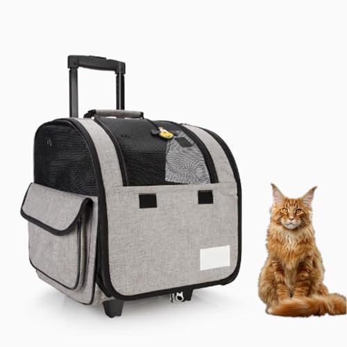 RUYICZB Haustier-Tragerucksack mit Rädern für Katzen, Katzentrage mit Universal Rädern und Belüftungsfenstern aus Netzgewebe, Haustiertrage,Grau RUYICZB Haustier-Tragerucksack mit Rädern für Katzen, Katzentrage mit Universal Rädern und Belüftungsfenstern aus Netzgewebe, Haustiertrage,Grau von RUYICZB
