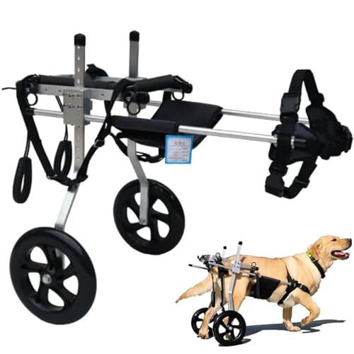 RUYICZB Hund Unterstützter Rollstuhl, Verstellbarer 2 Räder Hunderollstuhl, Große Verstellbarer Pet Dog Wheelchair Für Behinderte Hunde Hinterbeine Rehabilitation Von 15-60Kg,XXL RUYICZB Hund Unterstützter Rollstuhl, Verstellbarer 2 Räder Hunderollstuhl, Große Verstellbarer Pet Dog Wheelchair Für Behinderte Hunde Hinterbeine Rehabilitation Von 15-60Kg,XXL von RUYICZB