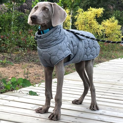 RUYICZB Hund Wintermantel Jacke Kleidung für mittlere große Hunde Weiche Winddichte Kälte Wetter Warme Hund Wintermantel mit Fleece gefüttert Paded Reflektierende & Einstellbare Bequem,Grau,M von RUYICZB