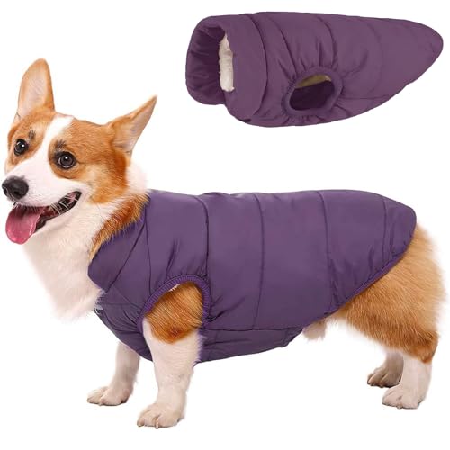 RUYICZB Hund Wintermantel Warme Jacke Hundebekleidung Hund Wasserdicht Hundejacke Mit Fleece Gefütterte Hund Katze Kleidung Welpen Winterweste Für Kleine Mittel Grosse Hunde,Lila,3XL von RUYICZB