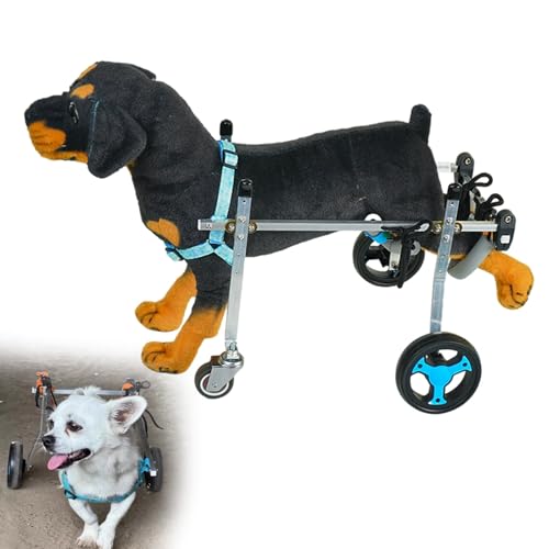 RUYICZB Hunde-Rollstuhl Für Die Hinterbeine, Haustier-Rollstuhl Leicht & Einstellbar Zur Unterstützung Der Heilung, Hundewagen Mit 4 Rädern, Gehhilfen Für Die Hinterbeine Von Kleinen Haustieren,L RUYICZB Hunde-Rollstuhl Für Die Hinterbeine, Haustier-Rollstuhl Leicht & Einstellbar Zur Unterstützung Der Heilung, Hundewagen Mit 4 Rädern, Gehhilfen Für Die Hinterbeine Von Kleinen Haustieren,L von RUYICZB