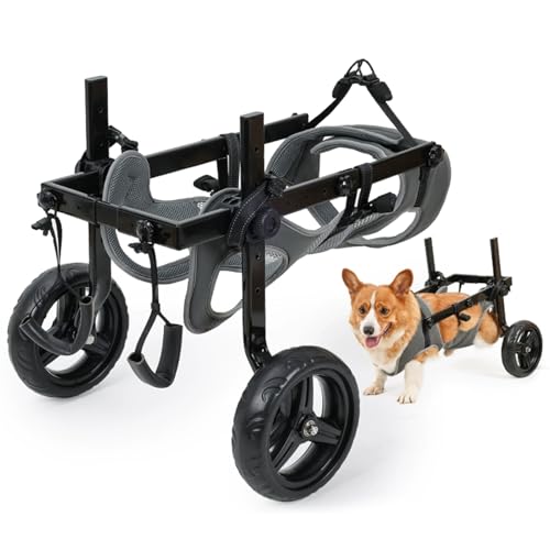 RUYICZB Hunde-Rollstuhl Für Die Hinterbeine, Leichtes Gewicht Hund Rollstuhl Wagen Mit Behinderten Hinterbeine Zu Fuß, Verstellbare Haustiere Rollstuhl Wagen Mit Rädern,L RUYICZB Hunde-Rollstuhl Für Die Hinterbeine, Leichtes Gewicht Hund Rollstuhl Wagen Mit Behinderten Hinterbeine Zu Fuß, Verstellbare Haustiere Rollstuhl Wagen Mit Rädern,L von RUYICZB