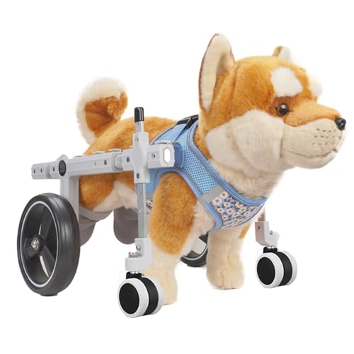 RUYICZB Hunde-Rollstuhl Für Die Hinterbeine, Verstellbare Hundewagen Mit Rädern, Hunde-Rollstuhl Für Kleine Hunde, Hunde-Hüftgelenkspflege-Rollstuhl, Mobilitätshilfen Für Gelähmte Hunde,M von RUYICZB