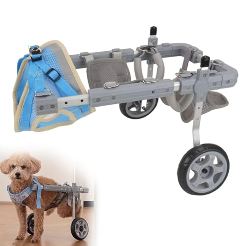 RUYICZB Hunde-Rollstuhl Für Die Hinterbeine, Verstellbarer Hunde-Rollstuhl, Unterstützt Kleine Haustiere Mit Gelähmten Hinterbeinen Bei Der Wiedererlangung Der Mobilität,L RUYICZB Hunde-Rollstuhl Für Die Hinterbeine, Verstellbarer Hunde-Rollstuhl, Unterstützt Kleine Haustiere Mit Gelähmten Hinterbeinen Bei Der Wiedererlangung Der Mobilität,L von RUYICZB