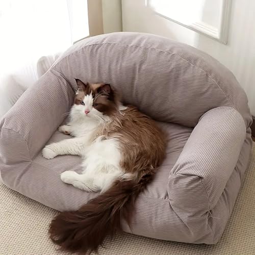 RUYICZB Hundebett, Möbel Für Tiere, Katzenbett, Abnehmbar Waschbar Bezug, Hundekorb, Hundekissen, Hundeliege, Schlafplätze, Hundesofa Für Mittelgroße Und Kleine Hunde,Grau,M 23.62 * 17.72 * 14.96in RUYICZB Hundebett, Möbel Für Tiere, Katzenbett, Abnehmbar Waschbar Bezug, Hundekorb, Hundekissen, Hundeliege, Schlafplätze, Hundesofa Für Mittelgroße Und Kleine Hunde,Grau,M 23.62 * 17.72 * 14.96in von RUYICZB