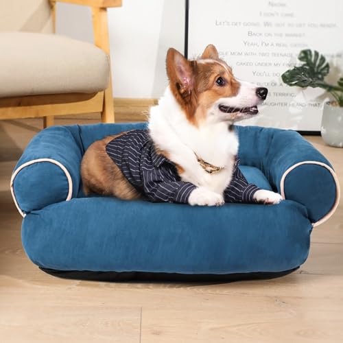 RUYICZB Hundebett-Hundekissen Waschbar, Ergonomisches Hundesofa Für Kleine Und Mittelgroße Hunde, Hundekorb Grosse Hunde Mit Orthopädischer Schaumstoff, rutschfest Boden,Blau,M von RUYICZB