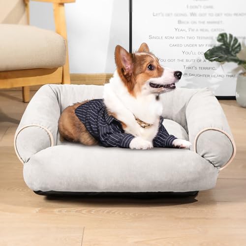 RUYICZB Hundebett-Hundekissen Waschbar, Ergonomisches Hundesofa Für Kleine Und Mittelgroße Hunde, Hundekorb Grosse Hunde Mit Orthopädischer Schaumstoff, rutschfest Boden,Light Gray,M RUYICZB Hundebett-Hundekissen Waschbar, Ergonomisches Hundesofa Für Kleine Und Mittelgroße Hunde, Hundekorb Grosse Hunde Mit Orthopädischer Schaumstoff, rutschfest Boden,Light Gray,M von RUYICZB