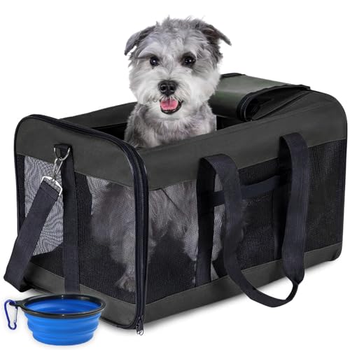 RUYICZB Hundebox Faltbar Kleine Hunde Transportbox Katzenbox Hundetragetasche Transporttasche Katzentasche Für Hund, Katzen, Airline Zugelassen, Reisefreundliche Transporttasche,Schwarz,L von RUYICZB