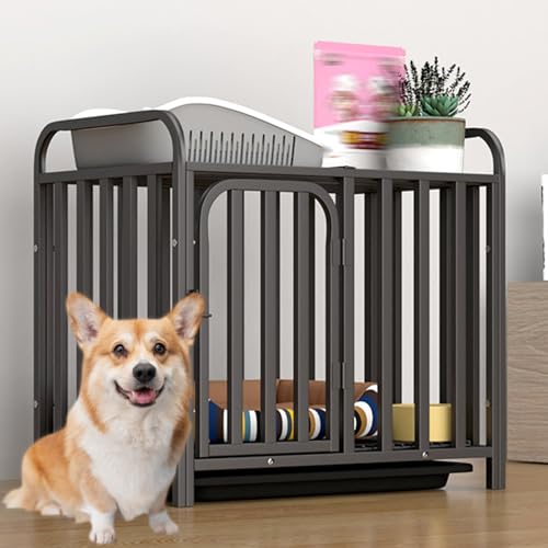 RUYICZB Hundekäfig Für Kleine Mittelgroße Hunde, Robuste Unzerstörbare Hundehütte Für Den Innenbereich, Hundebox Für Welpen Mit Feststellbaren Rädern Und Abnehmbarem Tablett,Tube,24.8" Lx16.5 Wx24 H RUYICZB Hundekäfig Für Kleine Mittelgroße Hunde, Robuste Unzerstörbare Hundehütte Für Den Innenbereich, Hundebox Für Welpen Mit Feststellbaren Rädern Und Abnehmbarem Tablett,Tube,24.8" Lx16.5 Wx24 H von RUYICZB