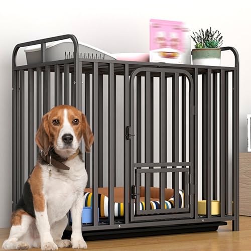 RUYICZB Hundekäfig Für Kleine Mittelgroße Hunde, Robuste Unzerstörbare Hundehütte Für Den Innenbereich, Hundebox Für Welpen Mit Feststellbaren Rädern Und Abnehmbarem Tablett,Tube,33.5" Lx22 Wx33.5 H RUYICZB Hundekäfig Für Kleine Mittelgroße Hunde, Robuste Unzerstörbare Hundehütte Für Den Innenbereich, Hundebox Für Welpen Mit Feststellbaren Rädern Und Abnehmbarem Tablett,Tube,33.5" Lx22 Wx33.5 H von RUYICZB