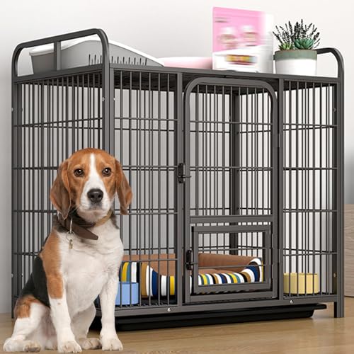 RUYICZB Hundekäfig Für Kleine Mittelgroße Hunde, Robuste Unzerstörbare Hundehütte Für Den Innenbereich, Hundebox Für Welpen Mit Feststellbaren Rädern Und Abnehmbarem Tablett,Wire,33.5" Lx22 Wx33.5 H RUYICZB Hundekäfig Für Kleine Mittelgroße Hunde, Robuste Unzerstörbare Hundehütte Für Den Innenbereich, Hundebox Für Welpen Mit Feststellbaren Rädern Und Abnehmbarem Tablett,Wire,33.5" Lx22 Wx33.5 H von RUYICZB