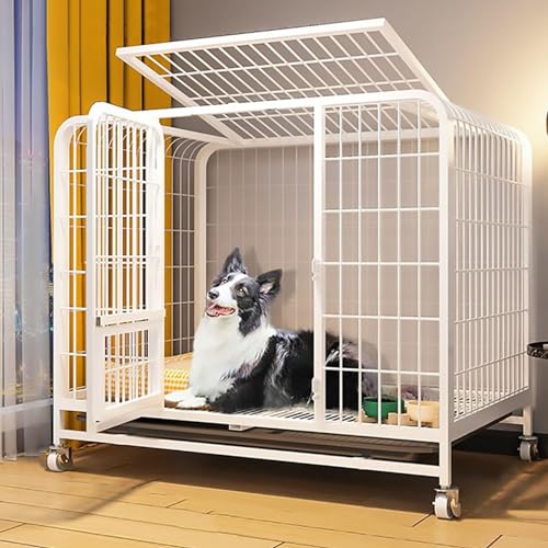 RUYICZB Hundekäfig Für Zuhause Große Mittelgrosse Hunde Transportbox Metall Transportkäfig Dog Crate Mit Rädern 2 Abschließbare Türen Und Abnehmbares Tablett,Weiß,36.6" Lx24.4 Wx32.3 H RUYICZB Hundekäfig Für Zuhause Große Mittelgrosse Hunde Transportbox Metall Transportkäfig Dog Crate Mit Rädern 2 Abschließbare Türen Und Abnehmbares Tablett,Weiß,36.6" Lx24.4 Wx32.3 H von RUYICZB