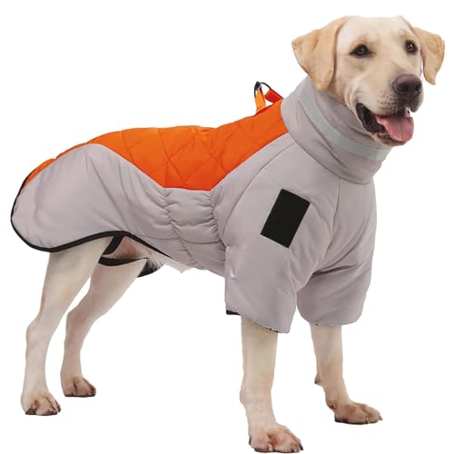 RUYICZB Hundemantel Für Kaltes Wetter, Wasserdichter Hundepullover Reflektierender Hundejacken, Winterweste Für Mittelgroße Hunde Mit Geschirr & D-Ringen Hundekleidung,Orange,XL von RUYICZB