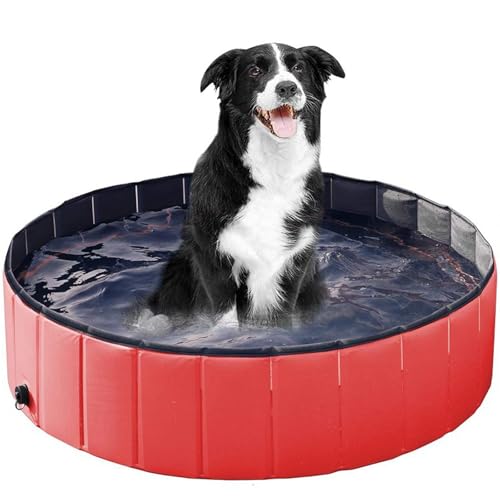 RUYICZB Hundepool Für Große Mittelgroße Hunde, Badewanne Für Hunde Kinder, Faltbares PVC rutschfest Verschleißfest, Schwimmbecken Für Hunde Kinder Planschbecken Oder Anderer Tiere,Rot,160cm RUYICZB Hundepool Für Große Mittelgroße Hunde, Badewanne Für Hunde Kinder, Faltbares PVC rutschfest Verschleißfest, Schwimmbecken Für Hunde Kinder Planschbecken Oder Anderer Tiere,Rot,160cm von RUYICZB