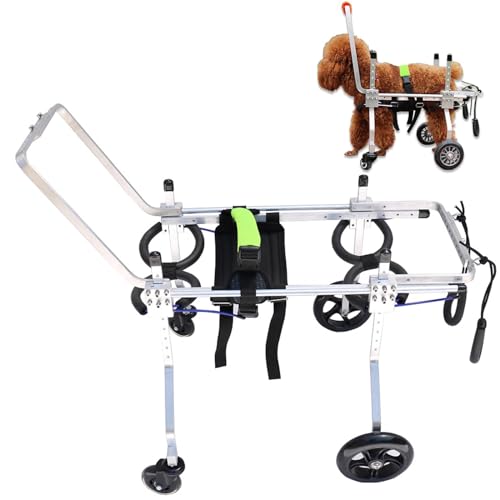 RUYICZB Hunderollstuhl, Verstellbarer 4-Rad-Haustierrollstuhl Mit Griff Für Kleine Und Mittelgroße Katzen/Hunde, Hunderollstuhlwagen Für Vorderbeinarthritis,XXS RUYICZB Hunderollstuhl, Verstellbarer 4-Rad-Haustierrollstuhl Mit Griff Für Kleine Und Mittelgroße Katzen/Hunde, Hunderollstuhlwagen Für Vorderbeinarthritis,XXS von RUYICZB