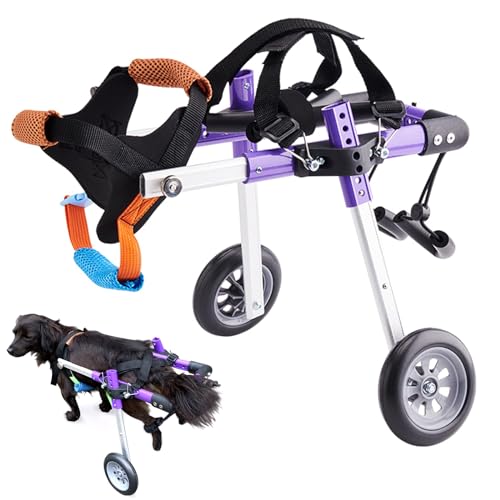 RUYICZB Hunderollstuhl, Zwei Räder Verstellbarer Hunderollstuhl Haustier Hinterbeine Rehabilitation Rollstuhl Für Kleine Hunde Katze/Hund/Welpe Hinterbeine Rehabilitation,XS RUYICZB Hunderollstuhl, Zwei Räder Verstellbarer Hunderollstuhl Haustier Hinterbeine Rehabilitation Rollstuhl Für Kleine Hunde Katze/Hund/Welpe Hinterbeine Rehabilitation,XS von RUYICZB