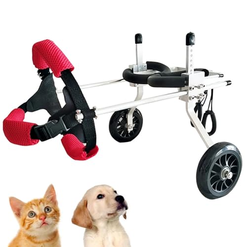 RUYICZB Hunderollstuhl,Dog Wheelchair Hunderollstuhl Hundegeschirr, Rückenstützrollstuhl, Verstellbarer Aluminiumwagen Haustier/Katzenhunderollstuhl Rehabilitation Für Behinderte Hunde,M von RUYICZB