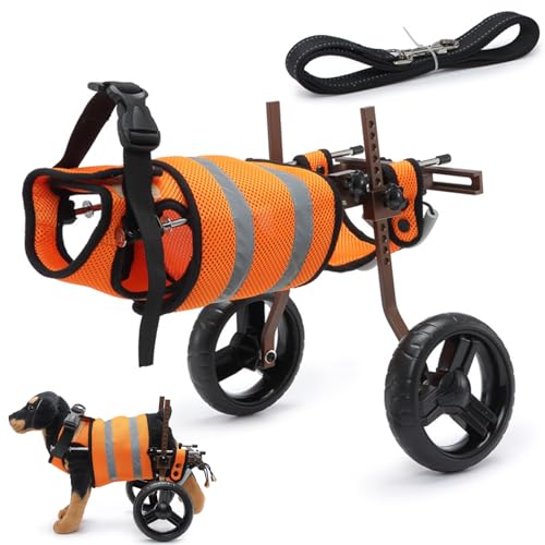 RUYICZB Hunderollstuhl Für Hinterbeine, Verstellbarer Hundewagen/Rollstuhl Mit Gehbehinderten Hinterbeinen, Tragbarer Haustierrollstuhl Aus Aluminiumlegierung Für Hunde 4-9Kg,Orange von RUYICZB