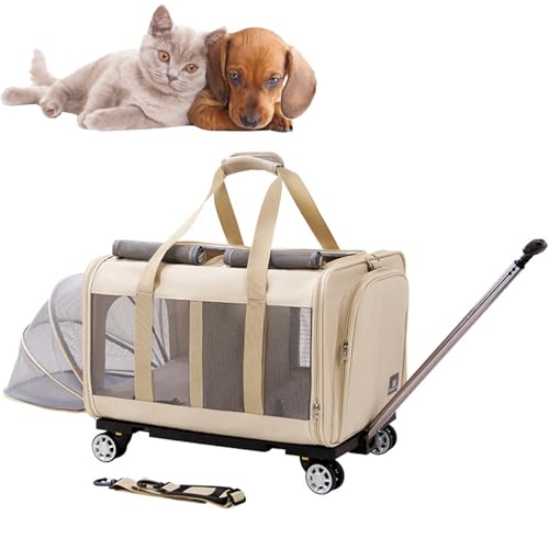 RUYICZB Katzen Trolley Für 2 Katzen, Katzentransportbox Für 2 Katzen Mit Rollen, Transporttasche Katze Groß 2 Katzen, Katzentragerucksack Mit Zwei Fächern Und Abnehmbaren Rädern,Beige von RUYICZB