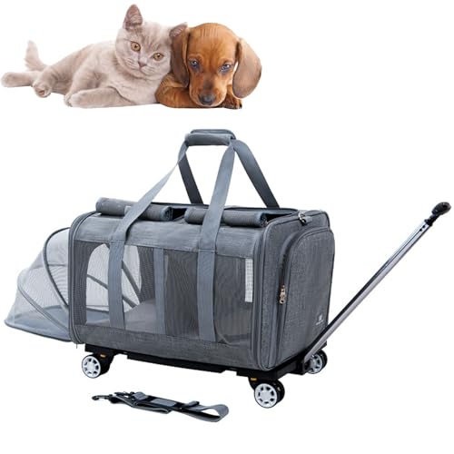 RUYICZB Katzen Trolley Für 2 Katzen, Katzentransportbox Für 2 Katzen Mit Rollen, Transporttasche Katze Groß 2 Katzen, Katzentragerucksack Mit Zwei Fächern Und Abnehmbaren Rädern,Dark Grey von RUYICZB