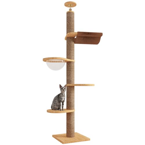 RUYICZB Katzenturm 5-Tier Boden Bis Decke Kratzbaum Höhe 258 Bis 265Cm Einstellbar, Hohe Kletterbaum Mit Sisal Kratzbaum, Gemütliche Hängematte Für Indoor-Katzen/Kätzchen RUYICZB Katzenturm 5-Tier Boden Bis Decke Kratzbaum Höhe 258 Bis 265Cm Einstellbar, Hohe Kletterbaum Mit Sisal Kratzbaum, Gemütliche Hängematte Für Indoor-Katzen/Kätzchen von RUYICZB