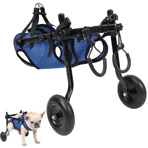 RUYICZB Kleiner Hunde-Hinterbein-Hunderollstuhl, Haustier-/Hunderollstuhl Verstellbarer, Hilft Kleinen Haustieren Mit Gelähmten Beinen, Sich Mit Voller Unterstützung Zu Erholen,M RUYICZB Kleiner Hunde-Hinterbein-Hunderollstuhl, Haustier-/Hunderollstuhl Verstellbarer, Hilft Kleinen Haustieren Mit Gelähmten Beinen, Sich Mit Voller Unterstützung Zu Erholen,M von RUYICZB