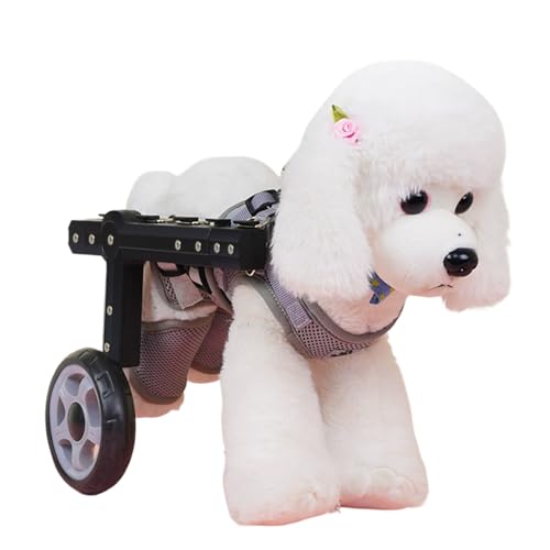 RUYICZB Kleiner Hunderollstuhl Für Die Hinterbeine, Verstellbarer Hunderollstuhlwagen Hunderollstuhl Mit Behinderten Hinterbeinen, Hundehalterung Und Hüftstütze Für Die Mobilität,L RUYICZB Kleiner Hunderollstuhl Für Die Hinterbeine, Verstellbarer Hunderollstuhlwagen Hunderollstuhl Mit Behinderten Hinterbeinen, Hundehalterung Und Hüftstütze Für Die Mobilität,L von RUYICZB