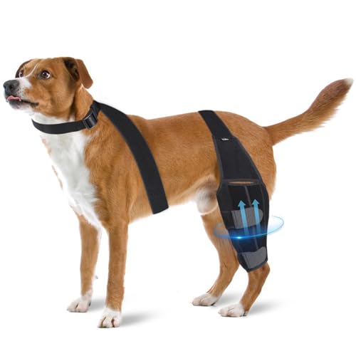RUYICZB Knieorthese Für Hunde Bei Gerissenem Vorderen Kreuzband Am Hinterbein, Verstellbare Hinterbeinorthese Für Hunde Mit Halsband Und Seitlichen Stabilisatoren, Reduziert Gelenkschmerzen,L von RUYICZB
