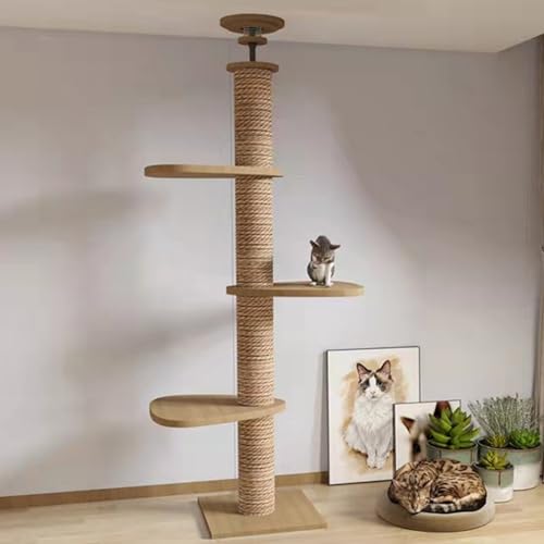 RUYICZB Kratzbaum Vom Boden Bis Zur Decke 255-265 cm Höhenverstellbarer Katzenbaum Grosse Katzen Stabil Kletterbaum Für Katzen Mit Plattformen/Hängematte/Katzenhaus Stabiler Katzenkratzbaum,A RUYICZB Kratzbaum Vom Boden Bis Zur Decke 255-265 cm Höhenverstellbarer Katzenbaum Grosse Katzen Stabil Kletterbaum Für Katzen Mit Plattformen/Hängematte/Katzenhaus Stabiler Katzenkratzbaum,A von RUYICZB