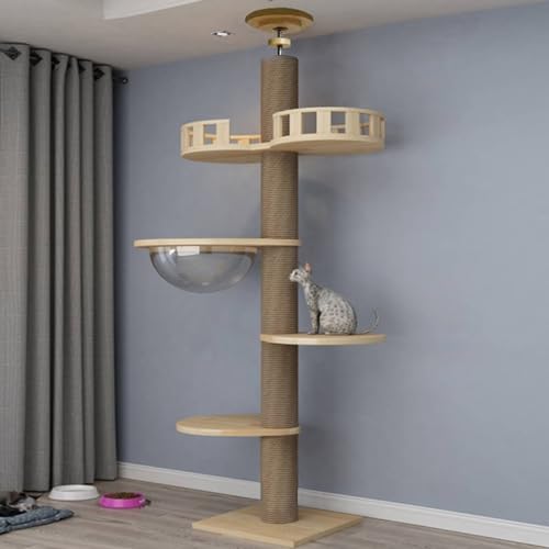 RUYICZB Kratzbaum Vom Boden Bis Zur Decke 255-265 cm Höhenverstellbarer Katzenbaum Grosse Katzen Stabil Kletterbaum Für Katzen Mit Plattformen/Hängematte/Katzenhaus Stabiler Katzenkratzbaum,D RUYICZB Kratzbaum Vom Boden Bis Zur Decke 255-265 cm Höhenverstellbarer Katzenbaum Grosse Katzen Stabil Kletterbaum Für Katzen Mit Plattformen/Hängematte/Katzenhaus Stabiler Katzenkratzbaum,D von RUYICZB