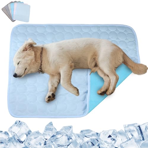 RUYICZB Kühlmatte Hund, Kühldecke Selbstkühlend Waschbar Kühlmatte Sommer Kühlkissen Für Hunde Tragbar Geruchlos Hundematte Für Zuhause Unterwegs Oder Im Auto,Light Blue,19.7x15.7in RUYICZB Kühlmatte Hund, Kühldecke Selbstkühlend Waschbar Kühlmatte Sommer Kühlkissen Für Hunde Tragbar Geruchlos Hundematte Für Zuhause Unterwegs Oder Im Auto,Light Blue,19.7x15.7in von RUYICZB