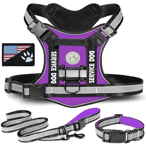 RUYICZB No-Pull Hundegeschirr, Einstellbar Sicherheitsgeschirr Taktisches Geschirr Mit Griffe D-Ringen Und Reflexstreifen Molle-Weste Hund Tactical Weste Für Große/Mittlere Hunde,Lila,X Small RUYICZB No-Pull Hundegeschirr, Einstellbar Sicherheitsgeschirr Taktisches Geschirr Mit Griffe D-Ringen Und Reflexstreifen Molle-Weste Hund Tactical Weste Für Große/Mittlere Hunde,Lila,X Small von RUYICZB