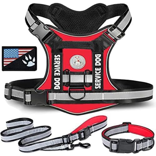 RUYICZB No-Pull Hundegeschirr, Einstellbar Sicherheitsgeschirr Taktisches Geschirr Mit Griffe D-Ringen Und Reflexstreifen Molle-Weste Hund Tactical Weste Für Große/Mittlere Hunde,Rot,Small RUYICZB No-Pull Hundegeschirr, Einstellbar Sicherheitsgeschirr Taktisches Geschirr Mit Griffe D-Ringen Und Reflexstreifen Molle-Weste Hund Tactical Weste Für Große/Mittlere Hunde,Rot,Small von RUYICZB