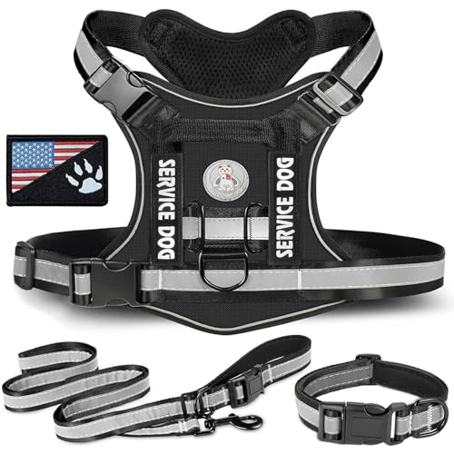 RUYICZB No-Pull Hundegeschirr, Einstellbar Sicherheitsgeschirr Taktisches Geschirr Mit Griffe D-Ringen Und Reflexstreifen Molle-Weste Hund Tactical Weste Für Große/Mittlere Hunde,Schwarz,X Small RUYICZB No-Pull Hundegeschirr, Einstellbar Sicherheitsgeschirr Taktisches Geschirr Mit Griffe D-Ringen Und Reflexstreifen Molle-Weste Hund Tactical Weste Für Große/Mittlere Hunde,Schwarz,X Small von RUYICZB