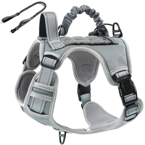 RUYICZB No-Pull Taktisches Hundegeschirr Taktisches Geschirr Hund Langlebig Nylon Hunde Brustgeschirr Mit 2 Komfort-Griffe & Reflexstreifen Für Wandern, Spazierengehen, Training,Grau,Small RUYICZB No-Pull Taktisches Hundegeschirr Taktisches Geschirr Hund Langlebig Nylon Hunde Brustgeschirr Mit 2 Komfort-Griffe & Reflexstreifen Für Wandern, Spazierengehen, Training,Grau,Small von RUYICZB