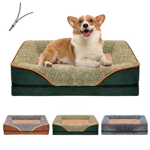 RUYICZB Orthopädische Hundebetten Für Kleine Mittelgroße Hunde, Hundecouch Mit Abnehmbarem Waschbarem Bezug Weiches Beruhigendes Schlafendes Wärmendes Welpenbett Mit Anti-Rutsch-Boden,Grün,S RUYICZB Orthopädische Hundebetten Für Kleine Mittelgroße Hunde, Hundecouch Mit Abnehmbarem Waschbarem Bezug Weiches Beruhigendes Schlafendes Wärmendes Welpenbett Mit Anti-Rutsch-Boden,Grün,S von RUYICZB