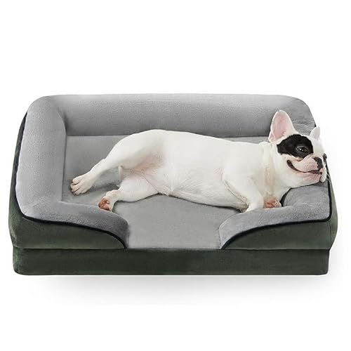 RUYICZB Orthopädische Hundebetten aus Schaumstoff, waschbares Hundesofabett mit abnehmbarem Bezug und Rutschfester Unterseite, Haustierbett mit Nackenrolle,Dark Green,90x63x18cm RUYICZB Orthopädische Hundebetten aus Schaumstoff, waschbares Hundesofabett mit abnehmbarem Bezug und Rutschfester Unterseite, Haustierbett mit Nackenrolle,Dark Green,90x63x18cm von RUYICZB