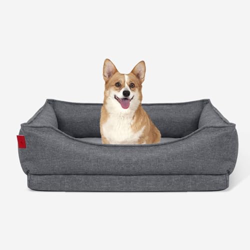 RUYICZB Orthopädisches, waschbares Hundebett, bequemes Hundesofabett mit 4 Seiten und Memory Foam, Haustierkäfigbett mit abnehmbarem Bezug und Rutschfester Unterseite,76x51x20cm RUYICZB Orthopädisches, waschbares Hundebett, bequemes Hundesofabett mit 4 Seiten und Memory Foam, Haustierkäfigbett mit abnehmbarem Bezug und Rutschfester Unterseite,76x51x20cm von RUYICZB