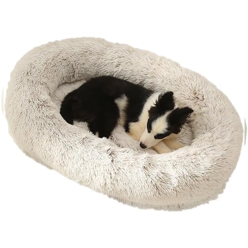 RUYICZB Orthopädisches Hundebett Rund Hundekissen Hundesofa Katzenbett Donut Kuscheliges Hundekorb Waschbar Flauschig Hundematte rutschfeste Unterseite Bezug Abnehmbar,Kaffee,S RUYICZB Orthopädisches Hundebett Rund Hundekissen Hundesofa Katzenbett Donut Kuscheliges Hundekorb Waschbar Flauschig Hundematte rutschfeste Unterseite Bezug Abnehmbar,Kaffee,S von RUYICZB