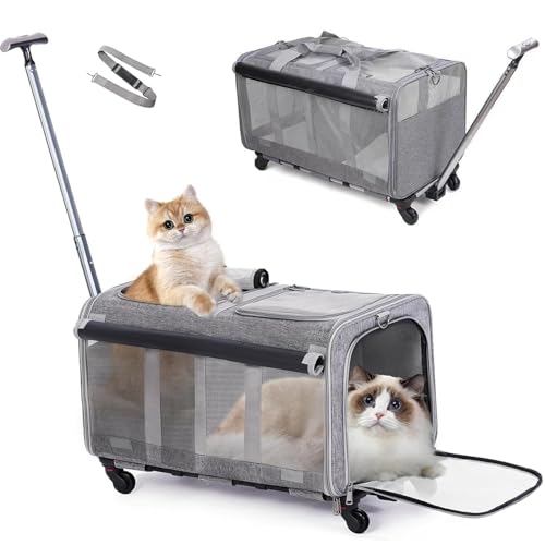 RUYICZB Rollende Katzentragetasche Mit Zwei Fächern, Große Kapazität, Weiche Seitenträger Für 2 Katzen Und Welpen, Abnehmbare Reisetrage Mit Atmungsaktiven Netzfenstern RUYICZB Rollende Katzentragetasche Mit Zwei Fächern, Große Kapazität, Weiche Seitenträger Für 2 Katzen Und Welpen, Abnehmbare Reisetrage Mit Atmungsaktiven Netzfenstern von RUYICZB