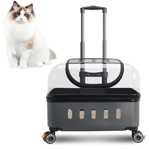 RUYICZB Rollende Katzentransportkoffer Mit Rädern Für Haustiere, Harter Katzentransportwagen Mit Kissen Und Griff, Haustier Trolley Für Kleine, Mittlere Katzen Und Hunde,Grau RUYICZB Rollende Katzentransportkoffer Mit Rädern Für Haustiere, Harter Katzentransportwagen Mit Kissen Und Griff, Haustier Trolley Für Kleine, Mittlere Katzen Und Hunde,Grau von RUYICZB