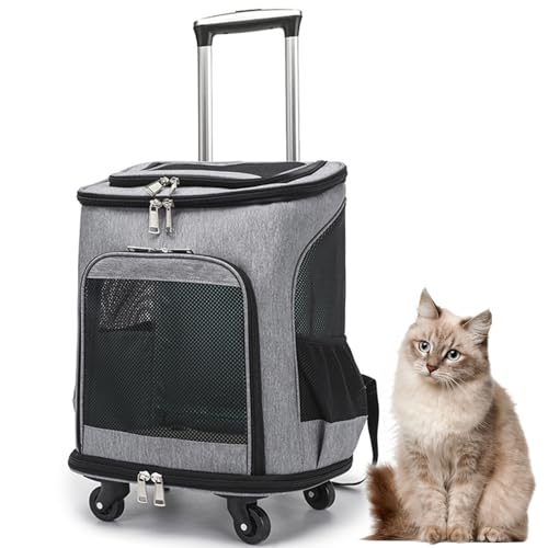 RUYICZB Transportbox Für Haustiere Mit Rädern, Hundetrolley Katzentransportbox Bequem Und Geräumig Für Reisen, Transportbox Für Katzen Mit Rollen, Abnehmbare Transportbox Für Hunde,Grau von RUYICZB