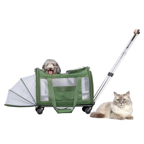 RUYICZB Transportbox für Haustiere mit Rädern, Rollbare Transportbox für Katzen und kleine Hunde, Erweiterbare Premium-Katzentransportbox mit Rädern,Grün RUYICZB Transportbox für Haustiere mit Rädern, Rollbare Transportbox für Katzen und kleine Hunde, Erweiterbare Premium-Katzentransportbox mit Rädern,Grün von RUYICZB