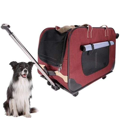 RUYICZB Transporttasche Für Katze Und Hund, Katzentransportbox Hundetragetasche, Fahrbarer Tierträger Mit Teleskopstiel, Trageboxen Portabler Reiseträger Für Hunde Und Katzen Mit Rollen,Rot RUYICZB Transporttasche Für Katze Und Hund, Katzentransportbox Hundetragetasche, Fahrbarer Tierträger Mit Teleskopstiel, Trageboxen Portabler Reiseträger Für Hunde Und Katzen Mit Rollen,Rot von RUYICZB